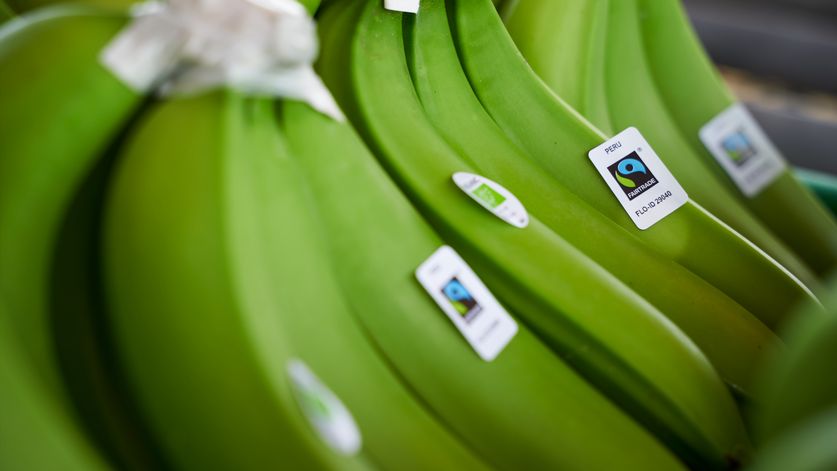 Fairtrade-Bananen