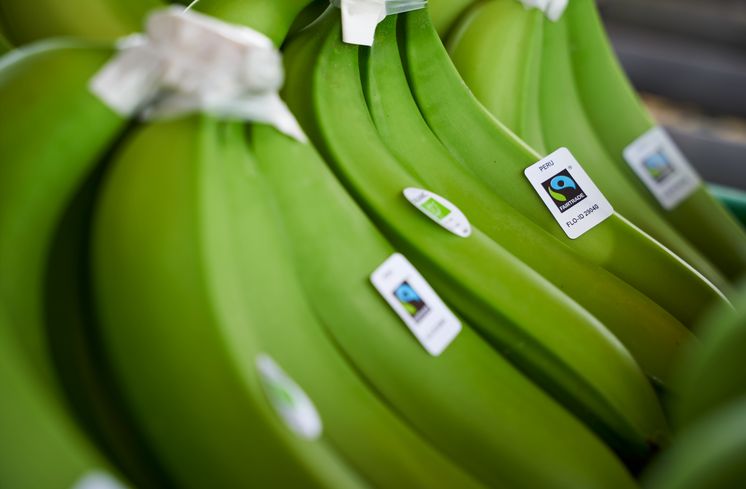 Fairtrade-Bananen