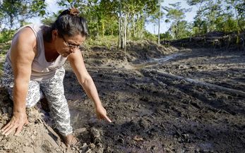 Belia kniet am Rand der verseuchten Fläche im Regenwald