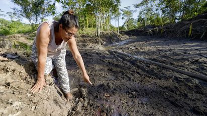 Belia kniet am Rand der verseuchten Fläche im Regenwald