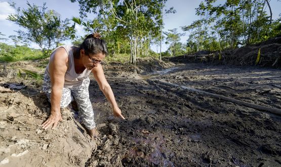 Die Umweltschützer vom Amazonas