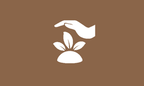 Icon zur Bewahrung der Schöpfung