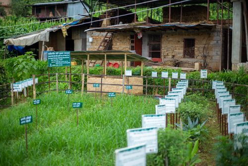 Ernährungssicherheit in Nepal
