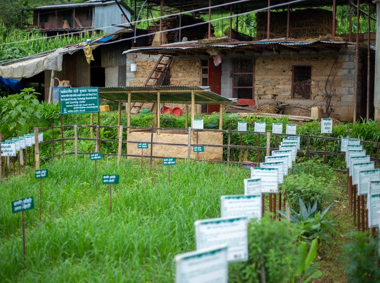 Ernährungssicherheit in Nepal