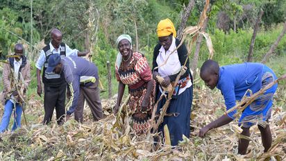 Kleinbauern in Kenia lernen neue Anbaumethoden zur Ernährungssicherung
