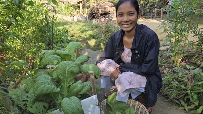 eine Frau sitzt in ihrem Gemüsegarten und erntet frische Zutaten für das Mittagessen