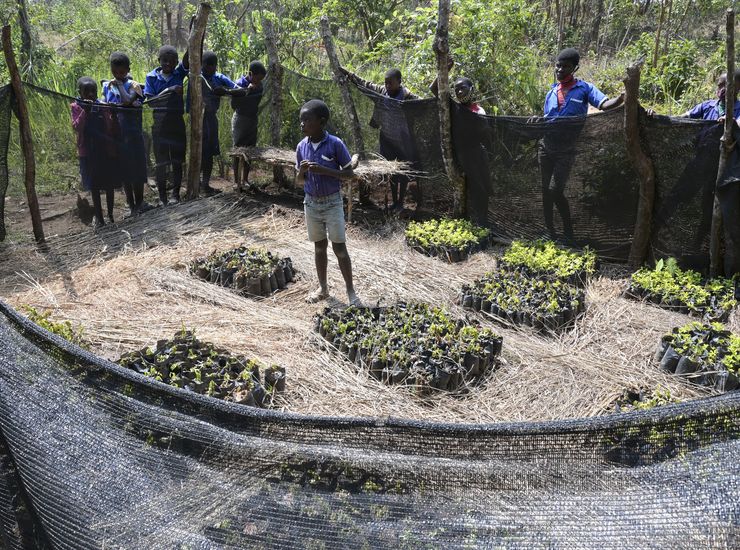 Malawi: Lwatizi Schule, Permakultur Projekt