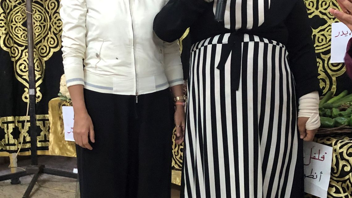 Kairo, Center for Egyptian Women’s Legal Assistance 