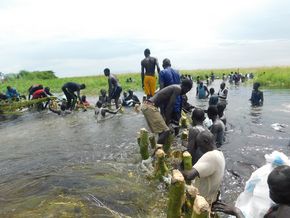 Überflutung in Südsudan 2019