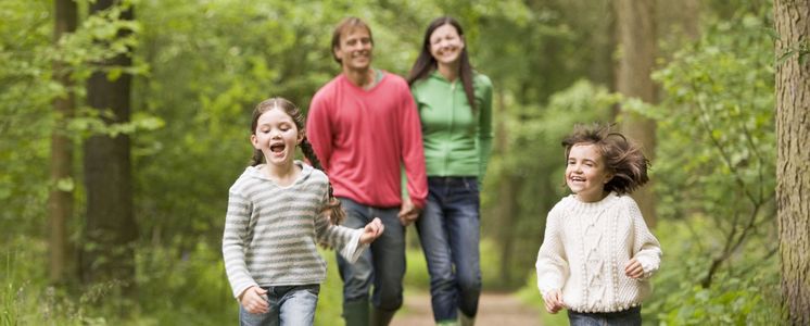 German Family is walking through an forest, holding hands