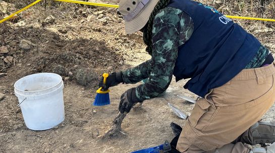 Eine forensische Anthropologin des CRIH sucht in Coahuila nach menschlichen Überresten.