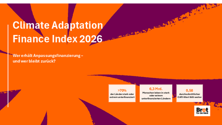 Präsentation zum Anpassungsindex 2026
