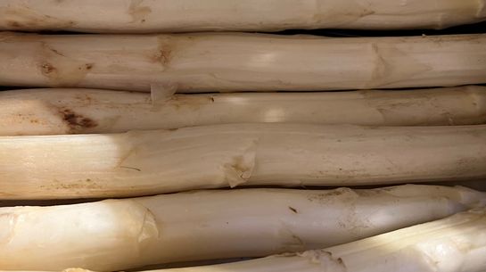 Spargel