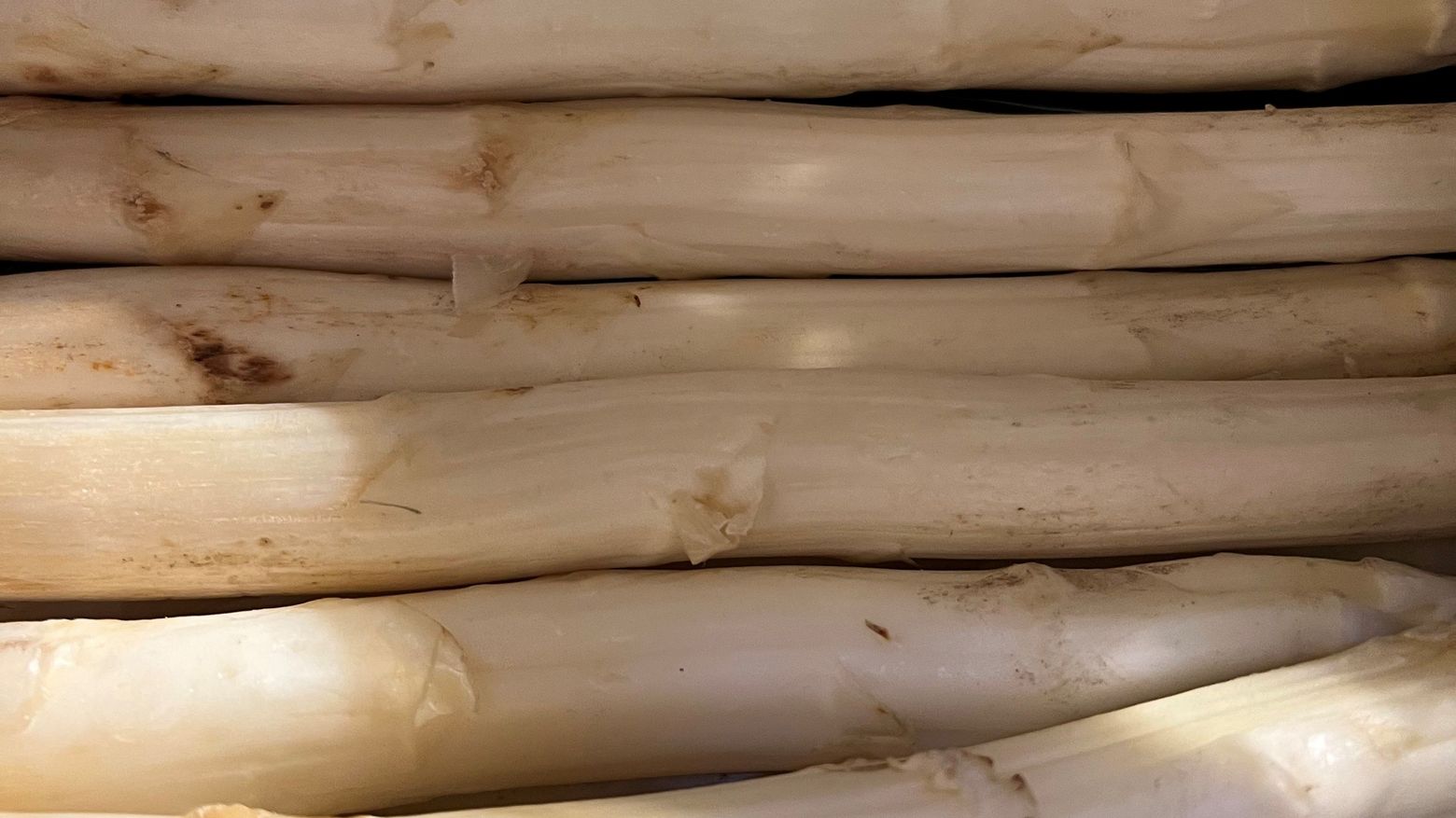Spargel