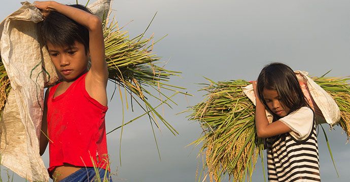 Kindern Zukunft schenken! Unter diesem Motto findet die 62. Aktion statt, die traditionell am 1. Advent eröffnet wird. Weltweit müssen rund 152 Millionen Mädchen und Jungen Kinderarbeit leisten – fast jedes zehnte Kind im Alter zwischen fünf und 17 Jahren. Brot für die Welt setzt sich gemeinsam mit unseren Partnern gegen Ausbeutung ein. Foto: Ariel Denaque (9) und seine Schwester Dina (12) müssen bei der Feldarbeit helfen und können dann nicht zur Schule gehen.Die Projektorganisation Quidan Kaisahan setzt sich dafür ein, dass Kinder in die Schule gehen statt zu arbeiten.