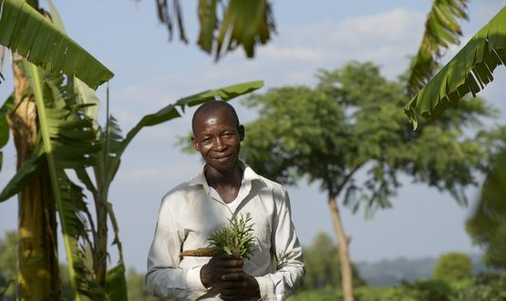 Ernährungssicherheit trotz Klimawandel Ernährungssicherheit trotz Klimawandel