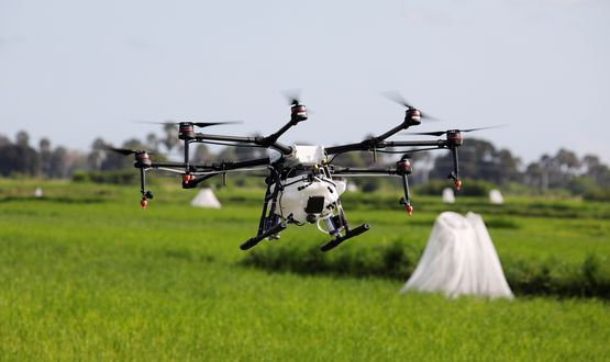 Mit Algorithmen gegen den Hunger