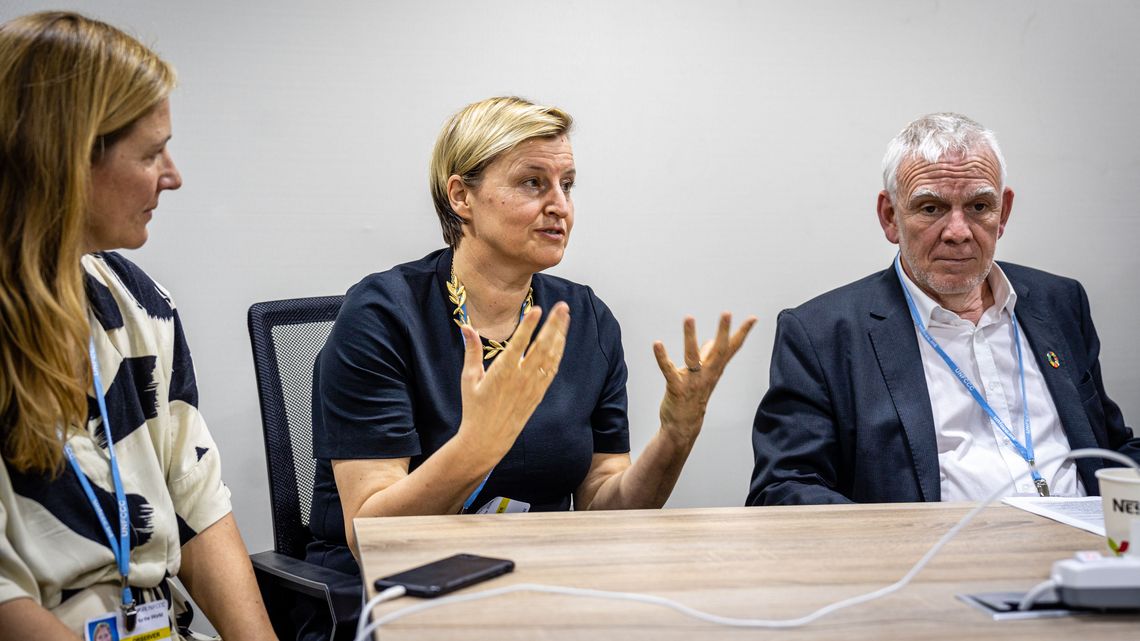 Klimagipfel, Ägypten, COP27, Loss and damage