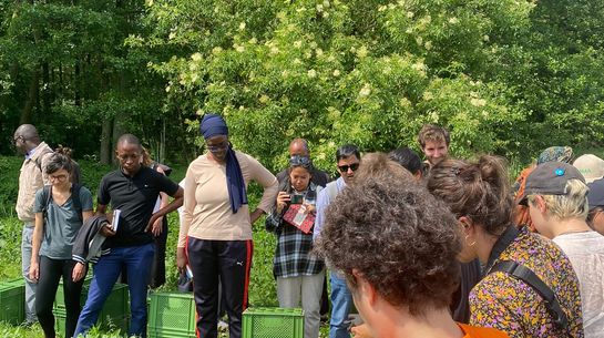 Besuch beim Hofkollektiv Bienenwerder