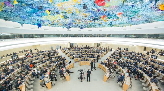 Menschenrechtsrat der Vereinten Nationen