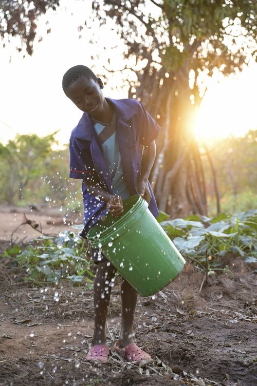 Malawi, Permakultur Projekt Malawi, Permakultur Projekt