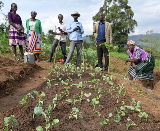 Kleinbauern in Kenia lernen mit neuen Anbaumethoden mehr zu ernten
