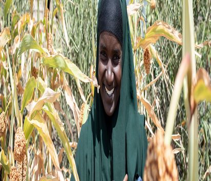 Landwirtin Muslima Aden arbeitet auf ihrem Feld im Dorf Badicade in Baidoa, Somalia.