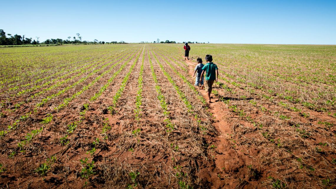 zwei Kinder und ein Erwachsener laufen über ein Feld