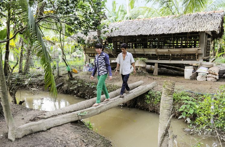 Vater: Duong Thanh Phong (42)Mutter: Kam Kim Phuong (37)Auf dem Weg zum StallAsien / Vietnam / Than Tan Kommune, Mo Cay Bac District, Ben Tre Provinz