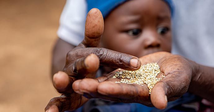 Gift Dirani (65) und seine Frau Evelyn (61) leben mit 5 ihrer 11 Kinder und 3 Enkelkindern auf ihrem Hof in Nyanyadzi, Chimanimani an der Ostgrenze Simbabwes. Die Region hat eine schwere Dürre erlebt und ist vom Klimawandel stark betroffen. Dadurch sind die Kleinbauern von großen Verlusten bei der Ernte und dem Viehbestand bedroht.Projektpartner: Towards Sustainable Use of Resources Organisation (TSURO)