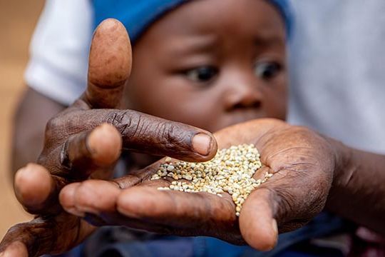 Gift Dirani (65) und seine Frau Evelyn (61) leben mit 5 ihrer 11 Kinder und 3 Enkelkindern auf ihrem Hof in Nyanyadzi, Chimanimani an der Ostgrenze Simbabwes. Die Region hat eine schwere Dürre erlebt und ist vom Klimawandel stark betroffen. Dadurch sind die Kleinbauern von großen Verlusten bei der Ernte und dem Viehbestand bedroht.Projektpartner: Towards Sustainable Use of Resources Organisation (TSURO)