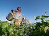 Wasserversogung in der Landwirtschaft in Burkina Faso