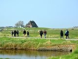 Ankunft auf der Hallig Hooge