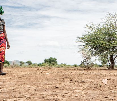 Kuda Gudyanga (46) and his wife NoMatter (39) from Nyanyadzi risk major crop and livestock losses.