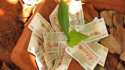 Afrika, Baknknote, Banknoten, Geld, Geldschein, Geldscheine, Kenia, Ostafrika, Pflanze, Setzling, Symbol, kenianischer Schilling