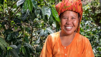 Alberthin Randa auf ihrem Kaffeefeld in Buatarrung