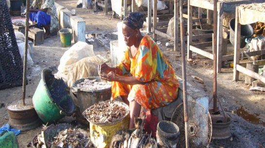Joal-Fadiouth, Fatima Diallo, Fischhändlerin