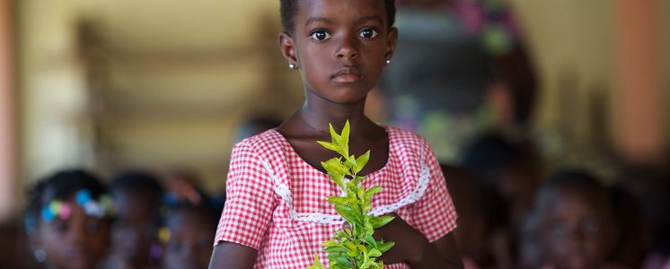 Afrika, Friede, Frieden, Kind, Kinder, Kindergarten, Kindergartenkind, Kindergartenkinder, Maedchen, Mädchen, Pflaenzchen, Pflanze, Pflänzchen, Togo, WANEP, West Africa Network for Peacebuilding, Westafrika, Zweig