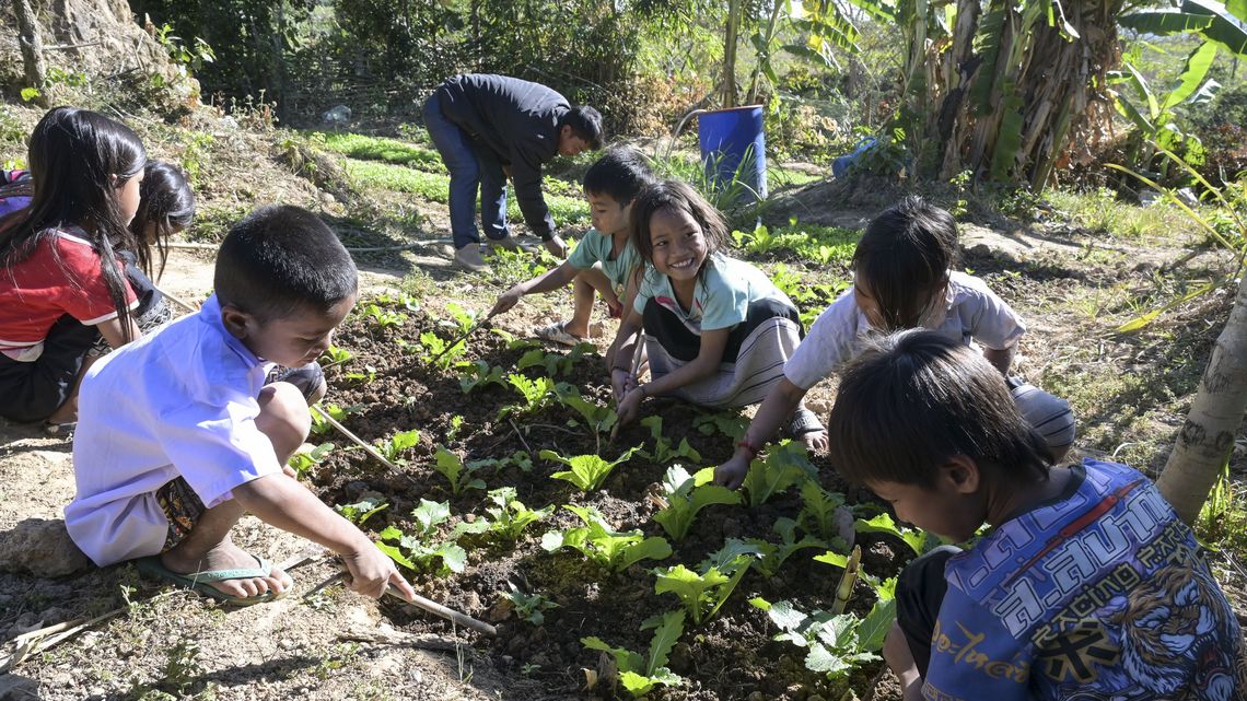 School children in the garden