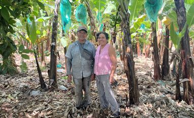 Francisco Vilchez und seine Frau Elisabeth im Bananenhain
