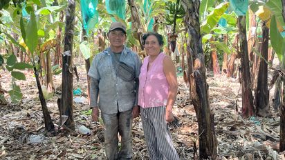 Francisco Vilchez und seine Frau Elisabeth im Bananenhain