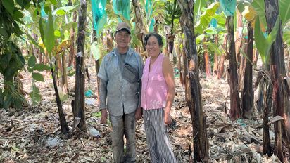 Francisco Vilchez und seine Frau Elisabeth im Bananenhain