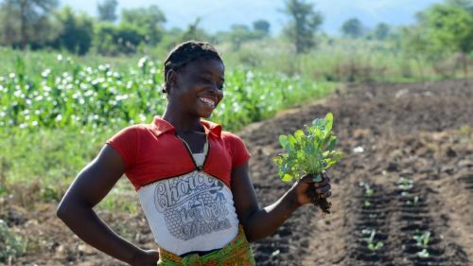 Noliver Hanzala Gemüsebäuerin in Sambia