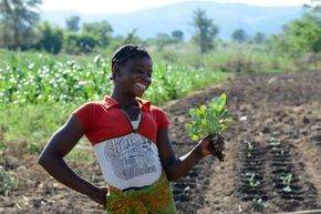 Noliver Hanzala Gemüsebäuerin in Sambia