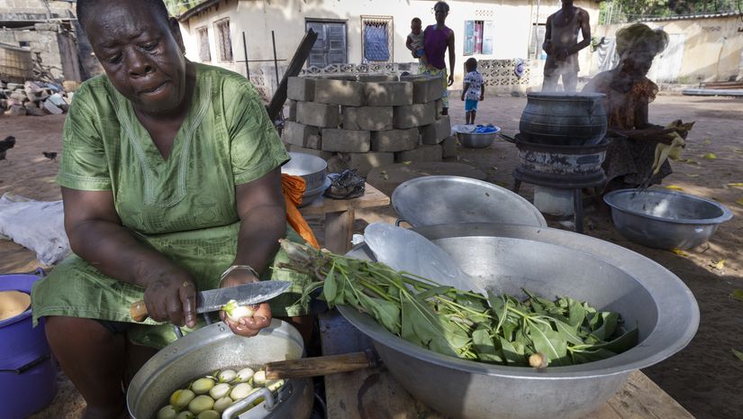 Ausland, Afrika, Westafrika, Togo, Ressourcen, Ernährung, Ernährungssicherheit, Nahrung, Lebensmittel, Nahrungsmittel, Grundnahrungsmittel, Landwirtschaft, Kleinbauer, Roherzeugnis, Verbraucher, Konsument, Frau, Frauenarbeit, Kochstelle, Freiluftküche, Zubereiten, Vorbereiten, Kochen, Kochgeschirr, Kochtopf, Schneiden, Tomaten, Messer, Küche, Schüssel, Gemüse