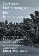 Studie 2 Jahre Lieferkettengesetz
