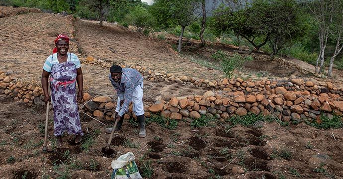 Gift Dirani (65) und seine Frau Evelyn (61) leben mit 5 ihrer 11 Kinder und 3 Enkelkindern auf ihrem Hof in Nyanyadzi, Chimanimani an der Ostgrenze Simbabwes. Die Region hat eine schwere Dürre erlebt und ist vom Klimawandel stark betroffen. Dadurch sind die Kleinbauern von großen Verlusten bei der Ernte und dem Viehbestand bedroht.Projektpartner: Towards Sustainable Use of Resources Organisation (TSURO)