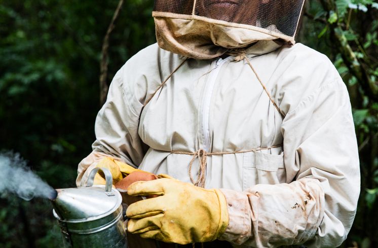 Imker Juan Carlos Duarte (45) bei seinen Bienenstoecken. (c) Kathrin Harms/Brot fuer die Welt