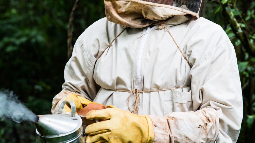 Imker Juan Carlos Duarte (45) bei seinen Bienenstoecken. (c) Kathrin Harms/Brot fuer die Welt