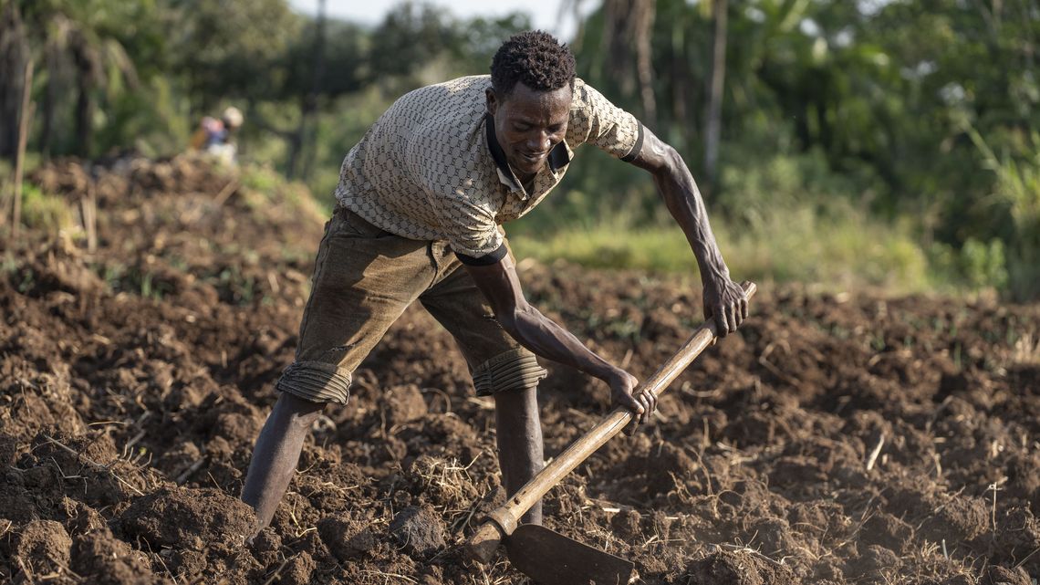 Samuel Mashala Mugeda, pflegt seine Pflanzen auf seiner Gemeinschaftsfarm.